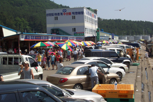 이 날 낮 안흥항 부두에는 오징어를 사려는 사람들이 장사진을 이루었다. 